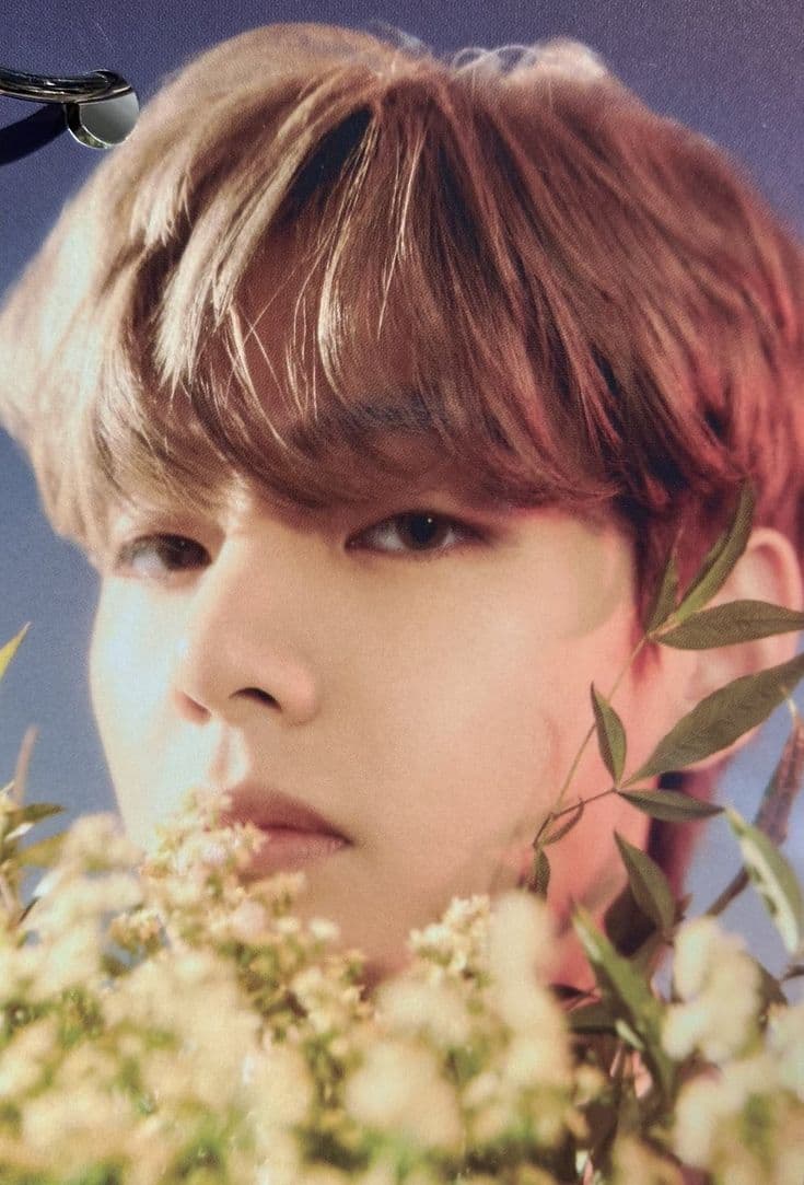 TAEHYUNG HYBE INSIGHT 2