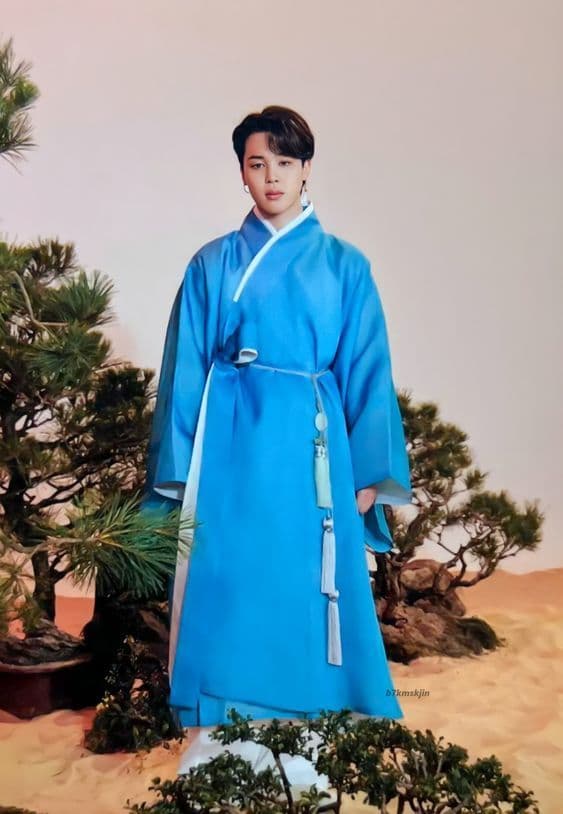 JIMIN DALMAJUNG 2